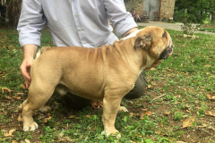 botero2