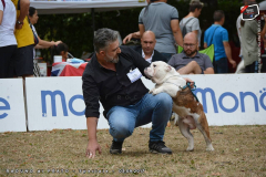 marcello2