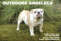 Outdoors_Angelica